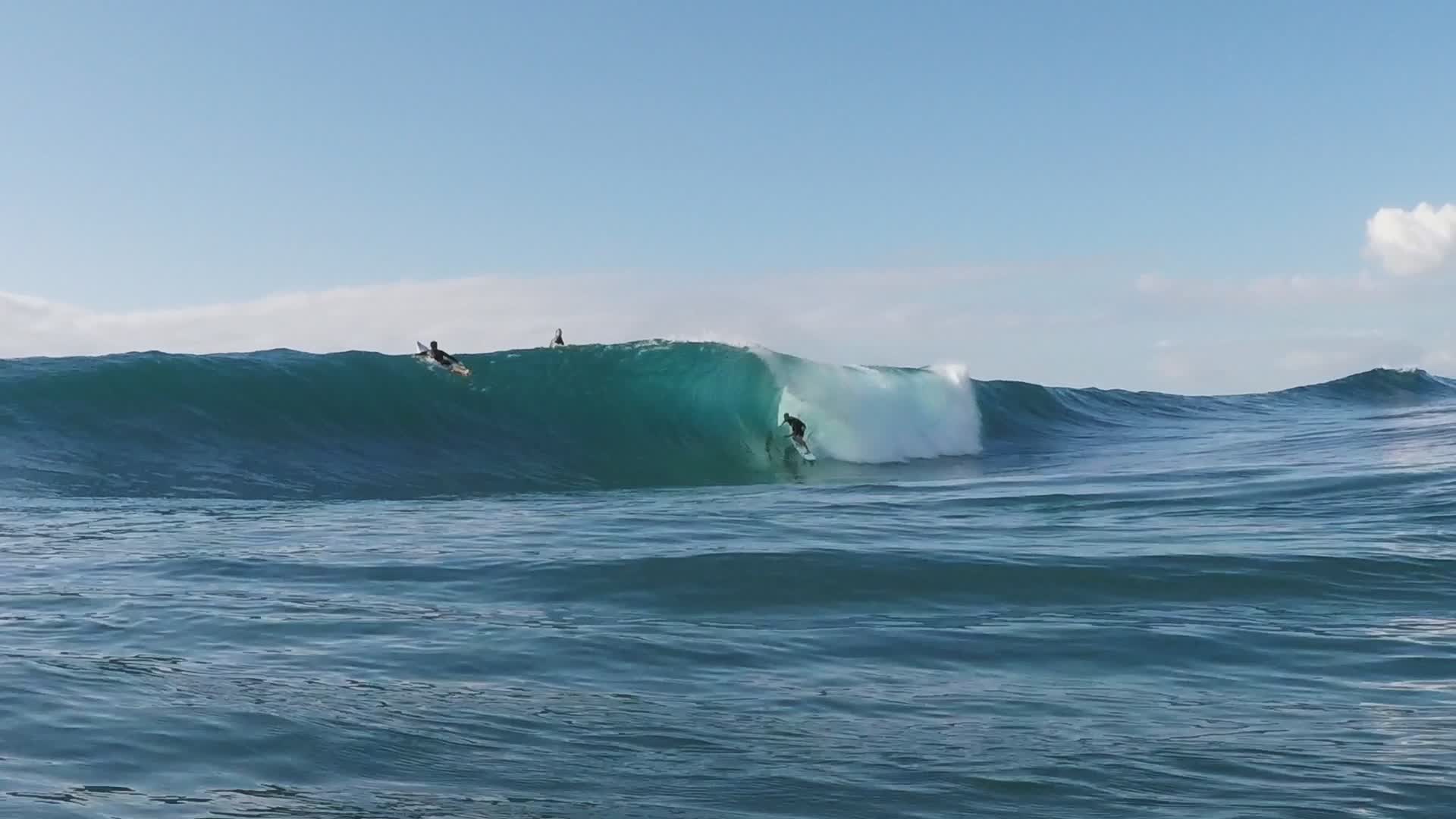 Bliss on the Gold Coast